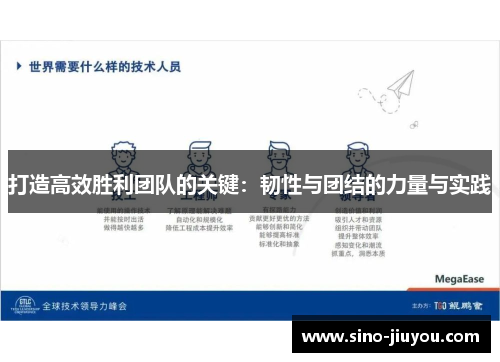 打造高效胜利团队的关键：韧性与团结的力量与实践