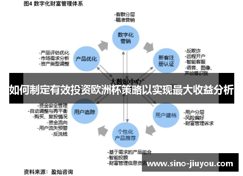 如何制定有效投资欧洲杯策略以实现最大收益分析