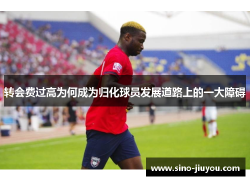 转会费过高为何成为归化球员发展道路上的一大障碍 转会费过高为何成为归化球员发展道路上的一大障碍