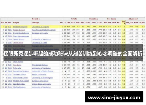 榜眼新秀逐步崛起的成功秘诀从刻苦训练到心态调整的全面解析 榜眼新秀逐步崛起的成功秘诀从刻苦训练到心态调整的全面解析