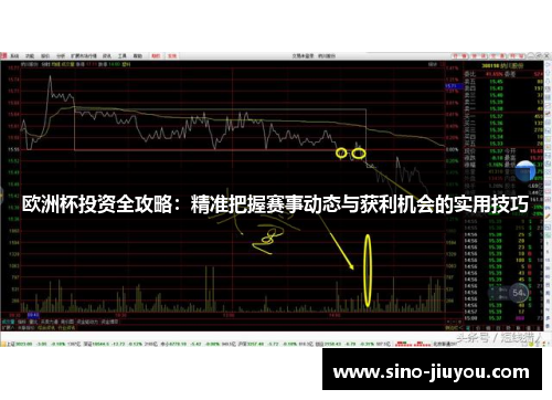 欧洲杯投资全攻略：精准把握赛事动态与获利机会的实用技巧