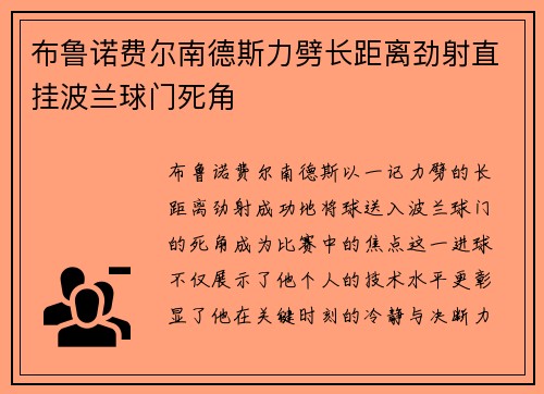 布鲁诺费尔南德斯力劈长距离劲射直挂波兰球门死角 布鲁诺费尔南德斯力劈长距离劲射直挂波兰球门死角
